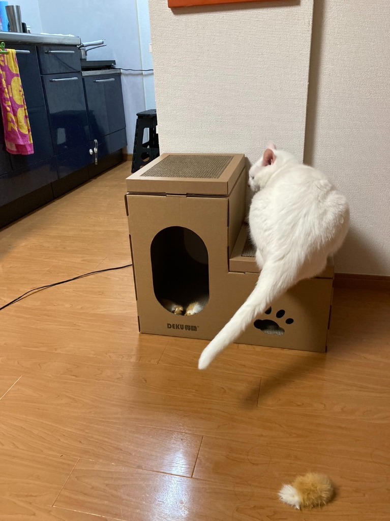 全体のレビュー画像 | 3-0