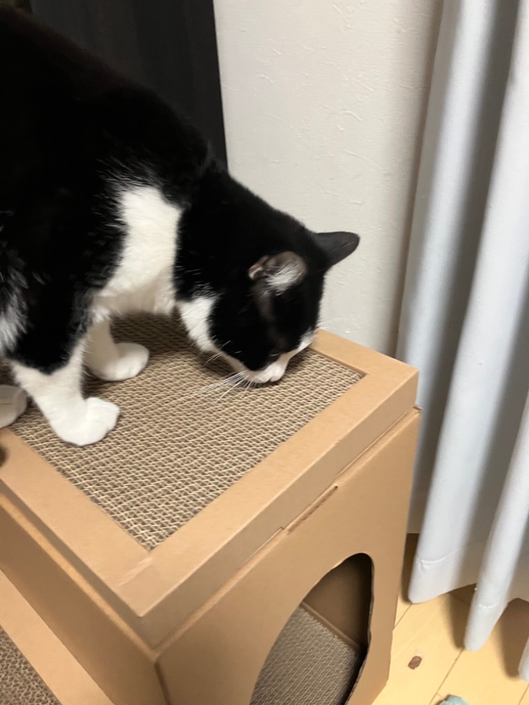 全体のレビュー画像 | 2-3