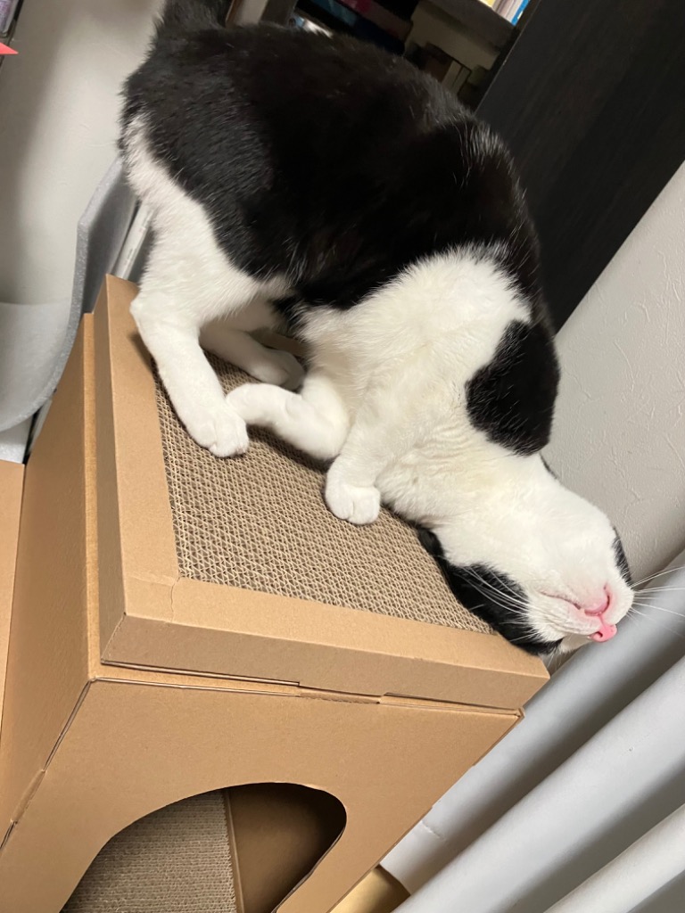 全体のレビュー画像 | 2-0