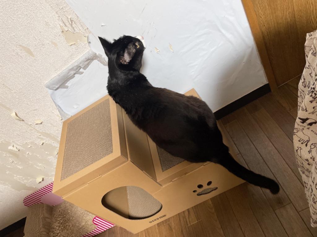 全体のレビュー画像 | 7-0