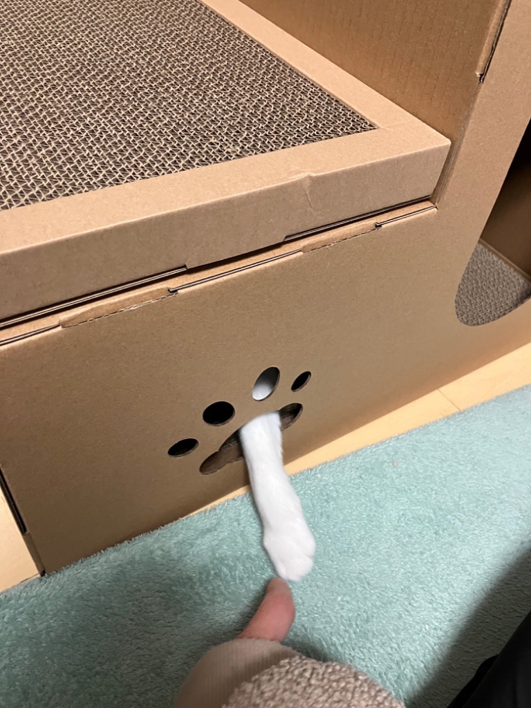 全体のレビュー画像 | 2-2