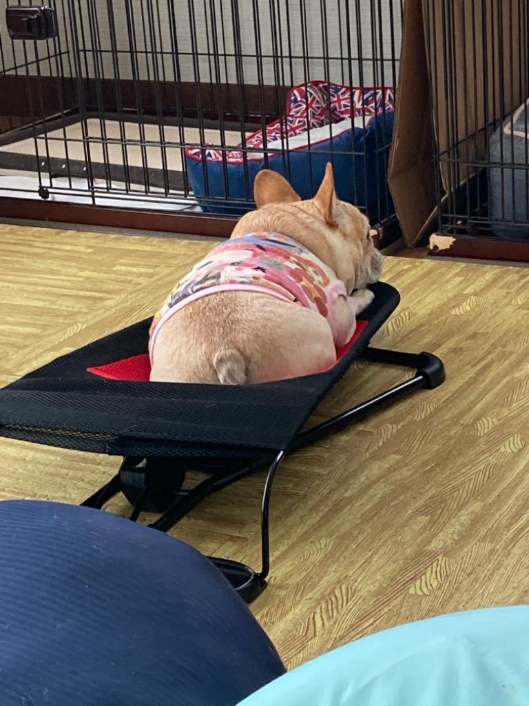 全体のレビュー画像 | 1-0