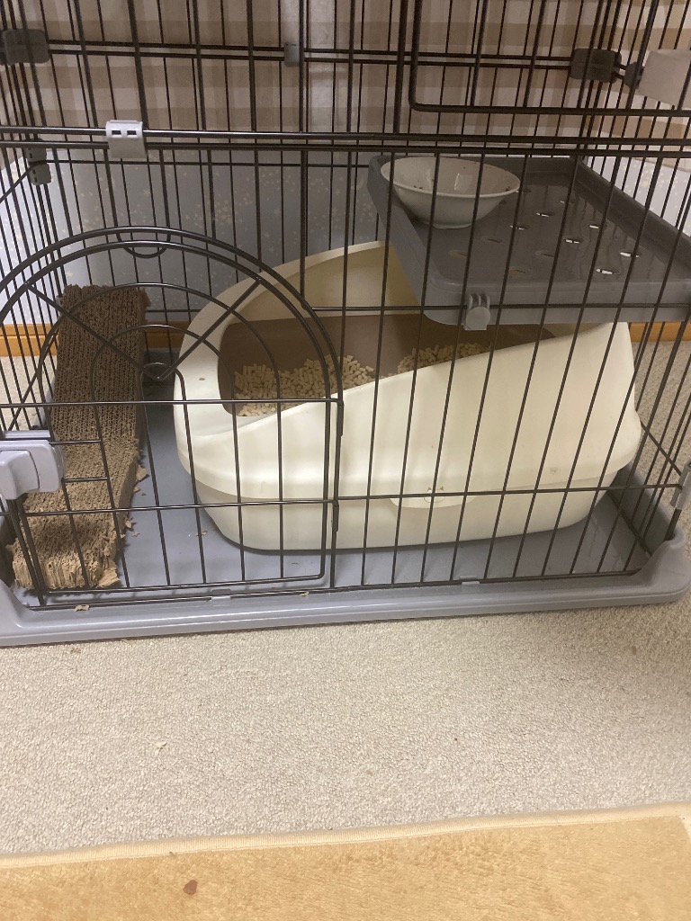 猫 ケージ キャットケージ 猫用ケージ ゲージ 大型 3段ゲージ 猫 猫 ケージ キャットケージ 猫用ケージ ゲージ 大型 3段ゲージ 猫