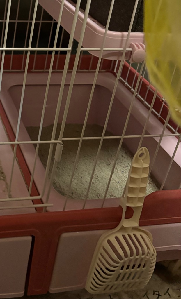 レビュー画像
