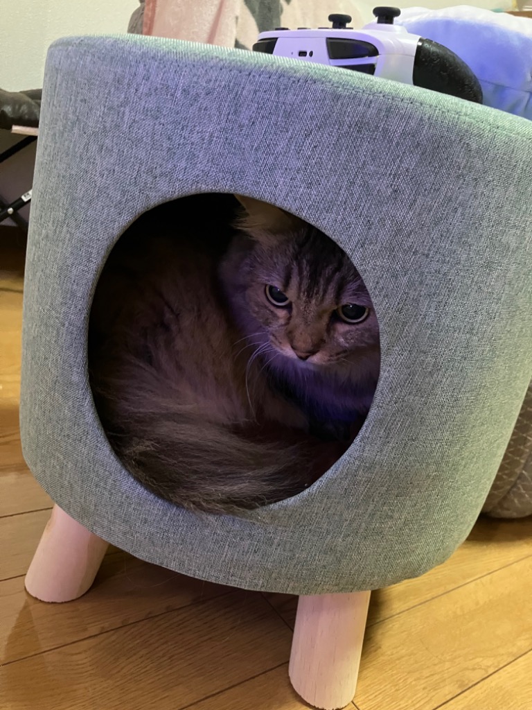 レビュー画像