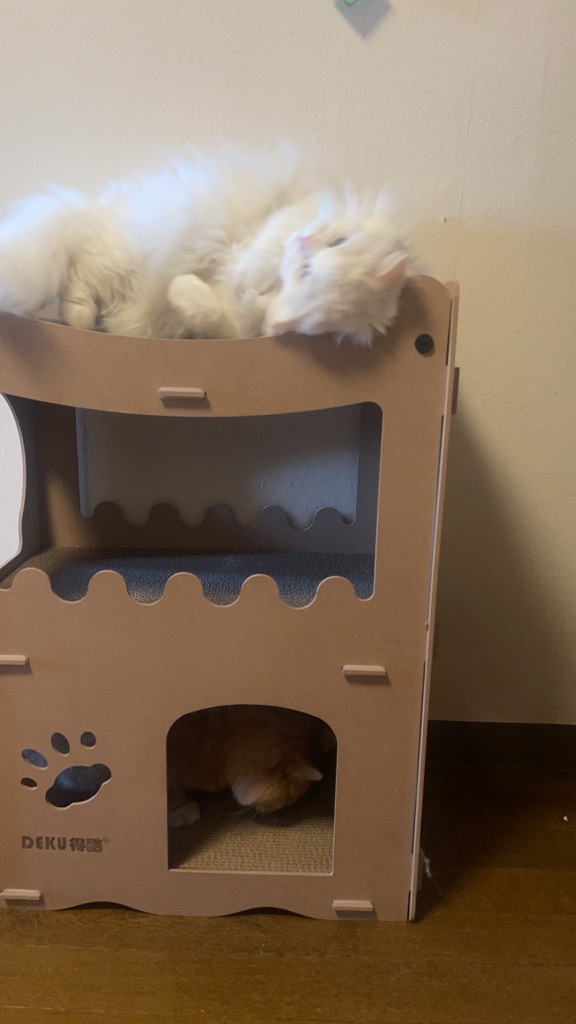 猫 爪とぎ ダンボール ハウス ベッド おしゃれ ケージ ネコ ボックス つ キャットハウス ダンボール 爪とぎ 猫 ハウス ベッド おしゃれ