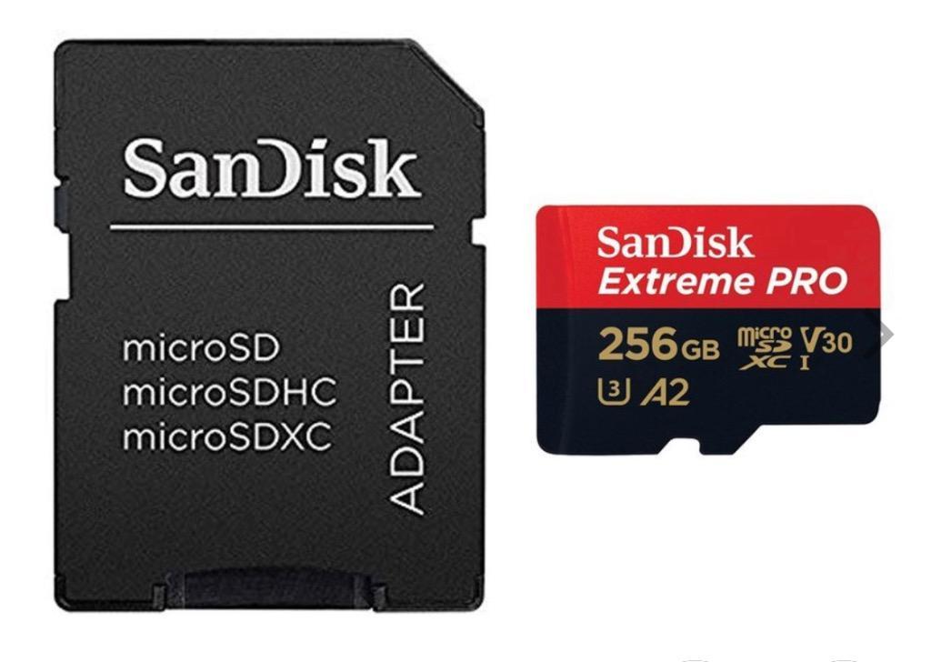 多多 全品Point 10倍 R:1 SanDisk microSDXC 4K A2 サンディスク UHS-I U3 256GB 最大倍率31% V30