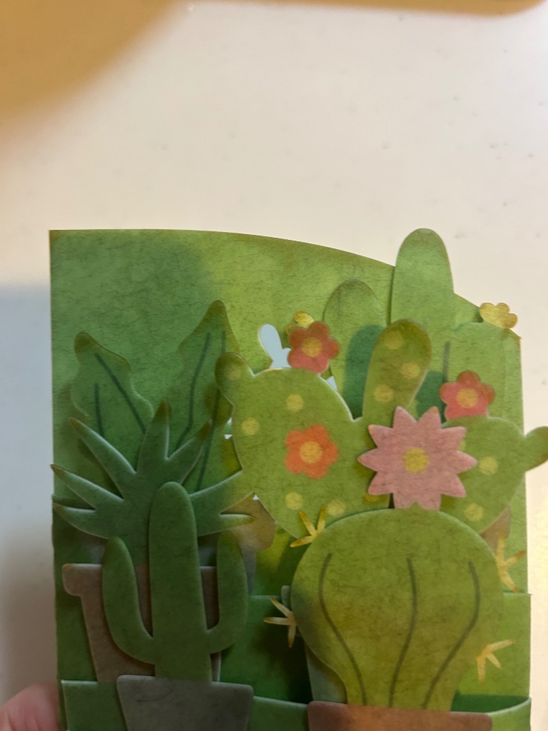 全体のレビュー画像 | 0-0