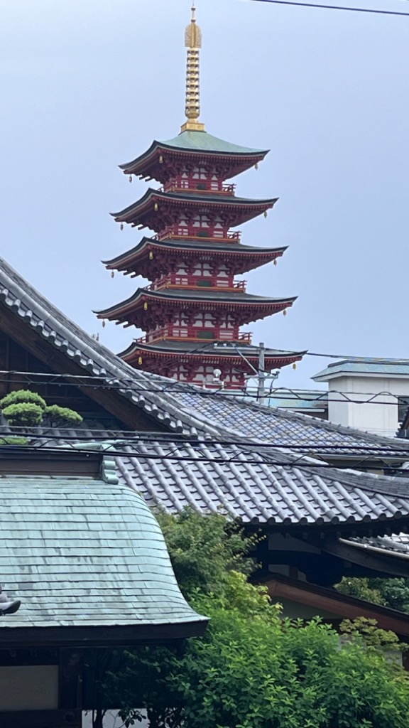 4件目のレビュー画像 | 5