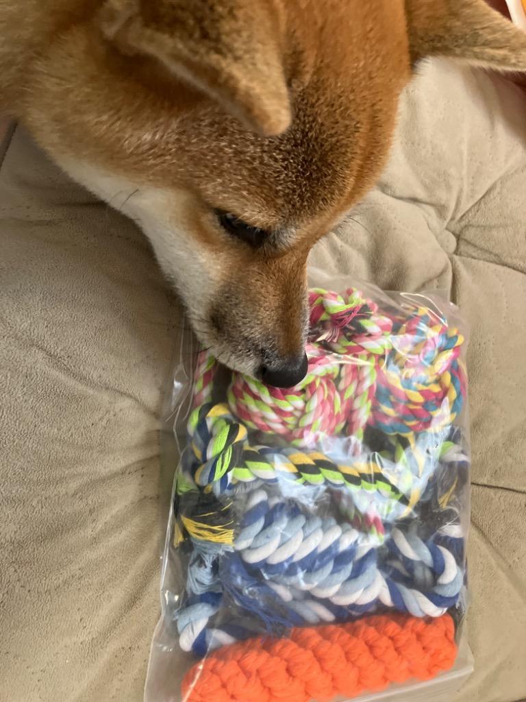 レビュー画像