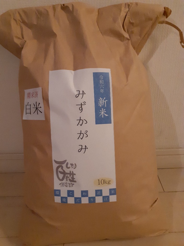 新米 みずかがみ 10kg 令和6年 送料無料 お米 白米 玄米 1等級米
