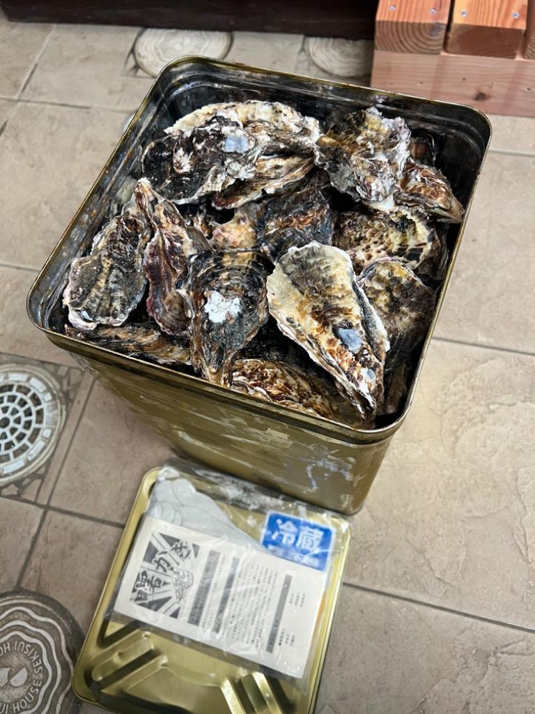 牡蠣 岡山県産 今が旬 邑久 牛窓 虫明 一斗缶 約１０ｋｇ 新鮮 生食用 カンカン焼き 殻付き牡蠣 かき とれたて 日付指定ok :kaki- okayama-usimado-100:フレッシュ直送便 - 通販 - Yahoo!ショッピング