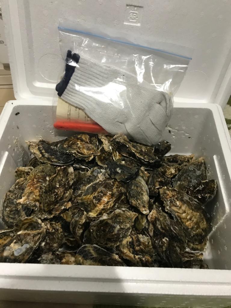 牡蠣 生食用 岡山県産 お歳暮 邑久 牛窓 虫明 半缶 5ｋｇ 曙牡蠣 殻付き牡蠣 新鮮 カキ かき とれたて 日付指定ok 旬 :kaki- okayama-usimado-50:フレッシュ直送便 - 通販 - Yahoo!ショッピング