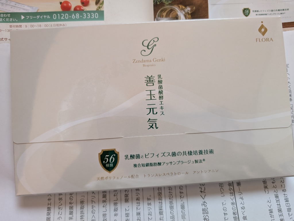 善玉元気 30日分 乳酸菌発酵エキス 短鎖脂肪酸 乳酸菌 サプリ 難