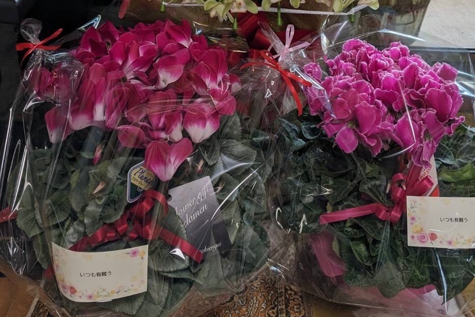 全体のレビュー画像 | 7-0