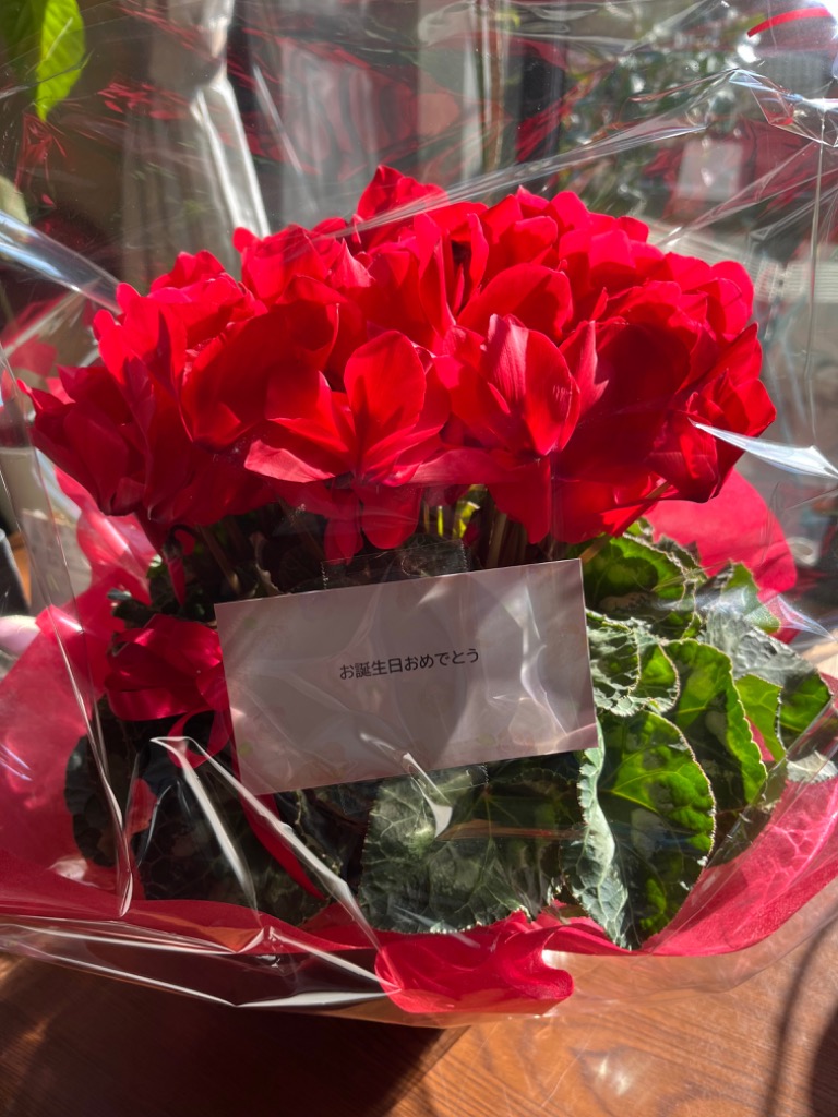 全体のレビュー画像 | 3-0