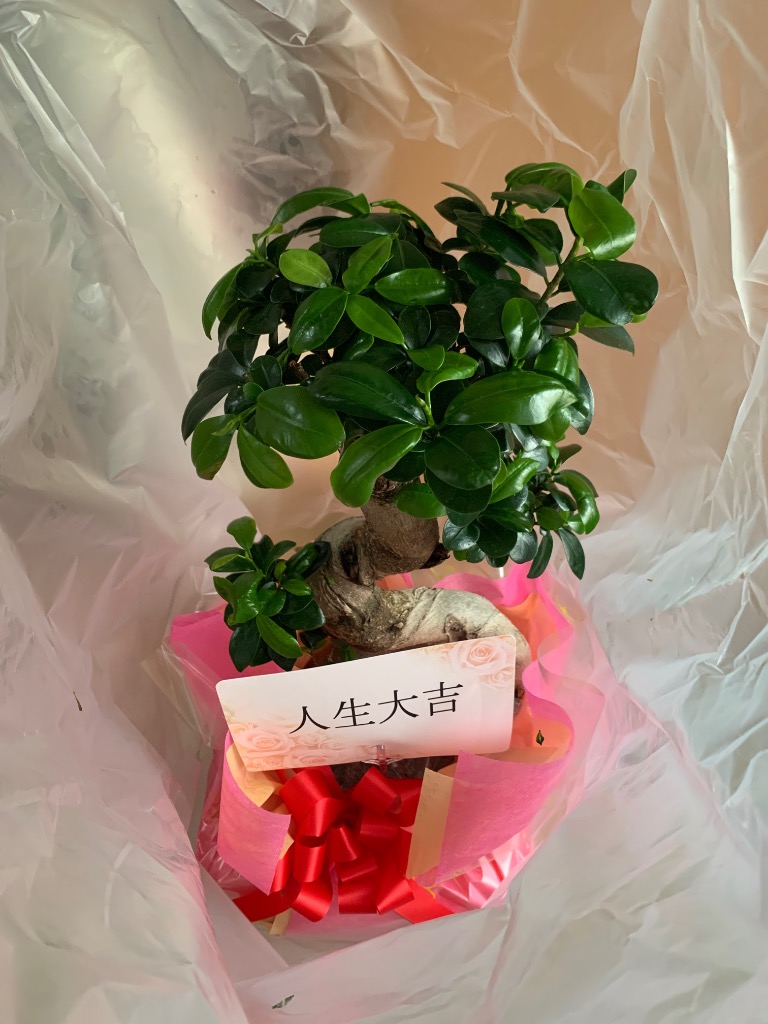 全体のレビュー画像 | 0-0