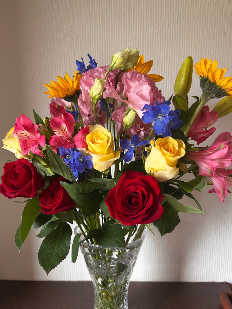 全体のレビュー画像 | 10-1