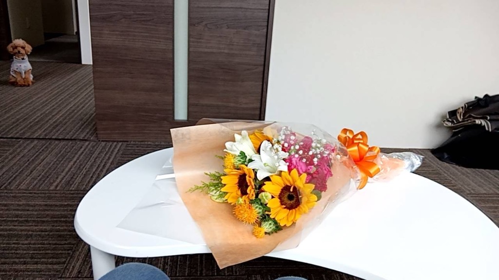 全体のレビュー画像 | 11-0