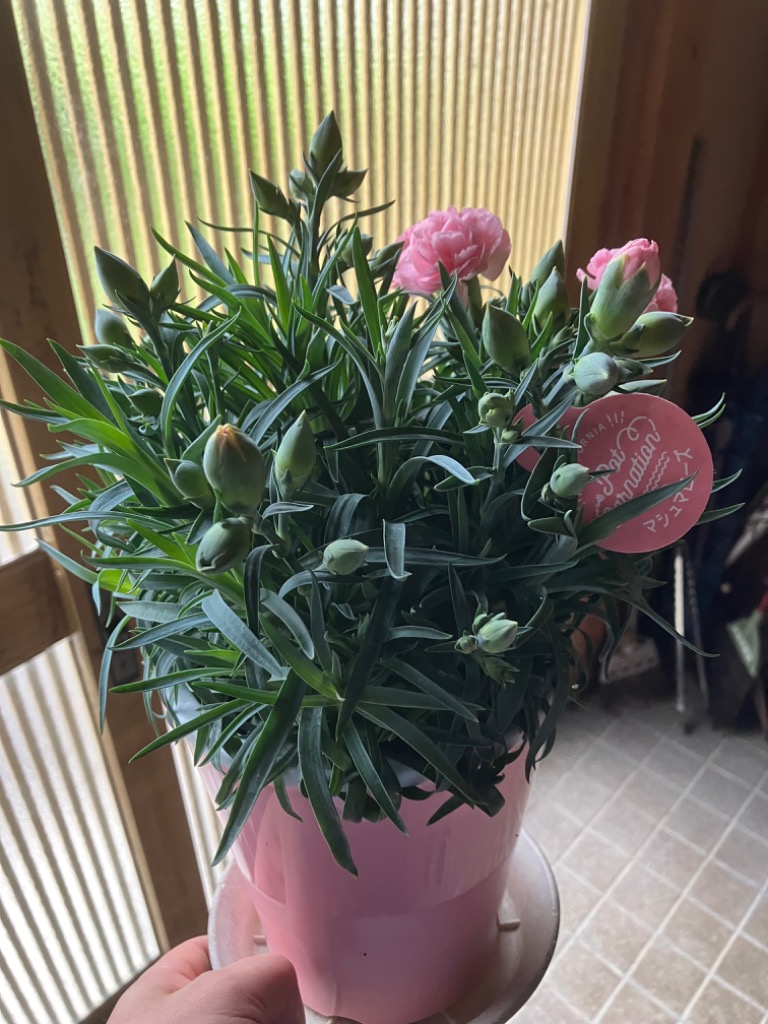 全体のレビュー画像 | 4-1