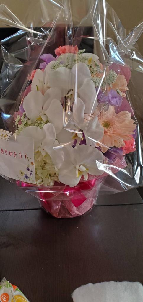 全体のレビュー画像 | 1-0