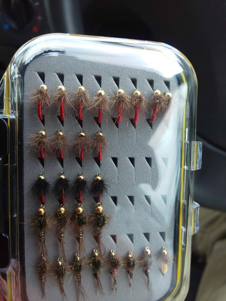 1件目のレビュー画像 | 1