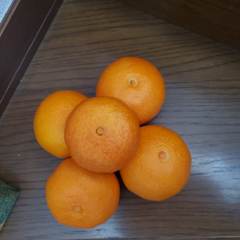 紅まどんな規格外 あいか 5kg S〜4Lサイズ 大きさおまかせ 訳