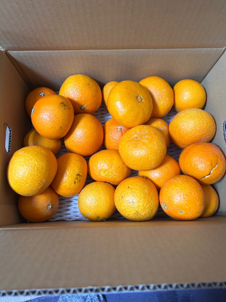 全体のレビュー画像 | 5-0