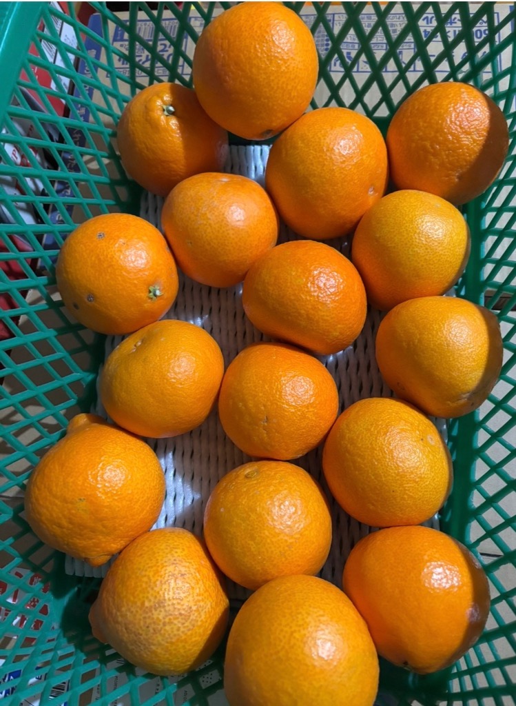 全体のレビュー画像 | 14-0