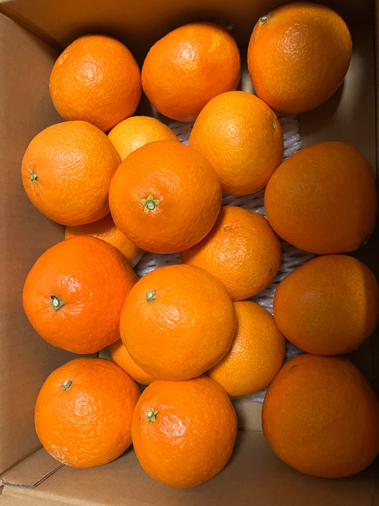 全体のレビュー画像 | 15-0