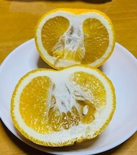 全体のレビュー画像 | 0-0