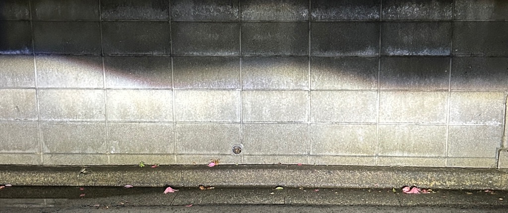 全体のレビュー画像 | 0-0