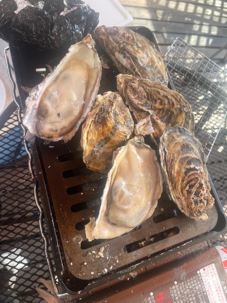 牡蠣 冷凍 カキ かき 貝 かい 新物 殻付き 真牡蠣 瀬戸内産 3キロ 産地直送 バーベキュー BBQ 加熱用 送料無料 即日発送  :mg-03:フォレストサンYahoo!店 - 通販 - Yahoo!ショッピング