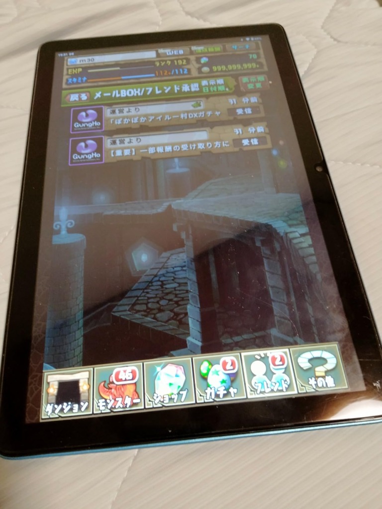 レビュー画像