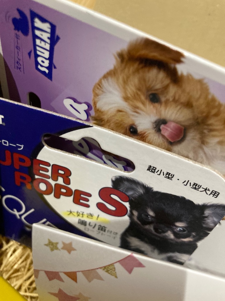 犬 おもちゃ 犬おもちゃ プレゼント 人気 オモチャ セット 詰め合わせ