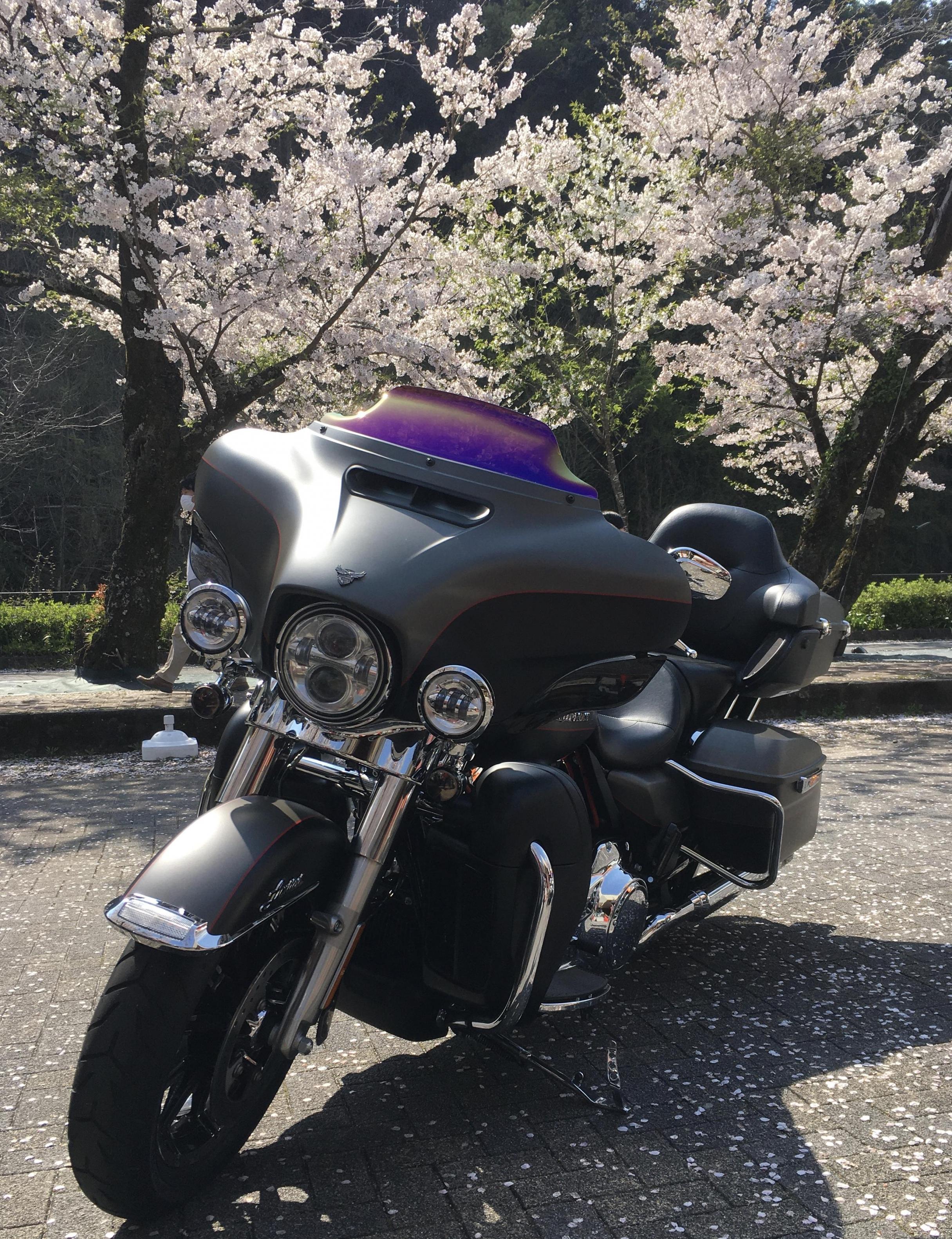 ハーレー用ウインドシールドBagger 5\" FLHT ブラック Amazon.co.jp: 用 ヘリテージ 用 ソフテイル 用 FLST 用