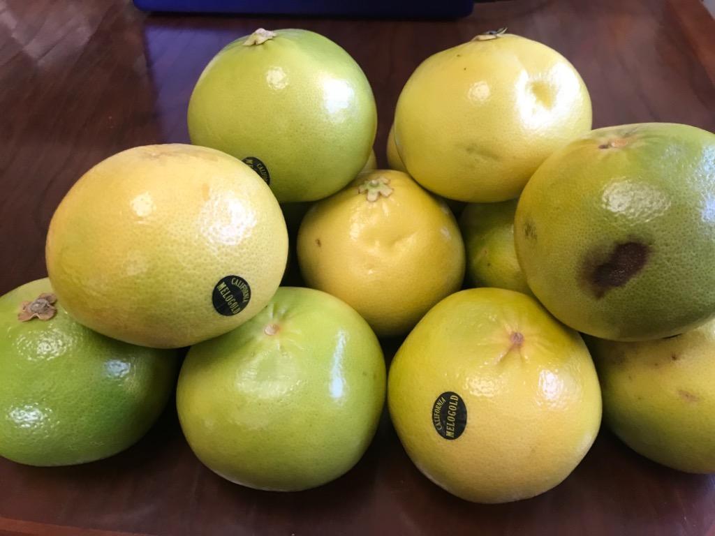 全体のレビュー画像 | 1-0