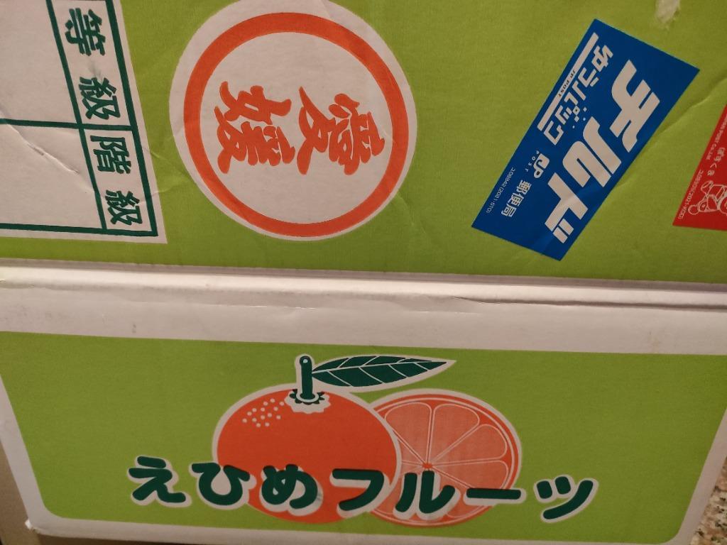 愛媛県産　ハウスみかん　5kg 絶品！夏こそハウスみかん愛媛産 訳ありハウスみかん5kg【送料