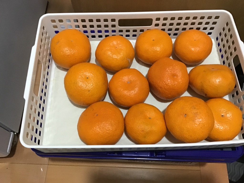 全体のレビュー画像 | 10-0