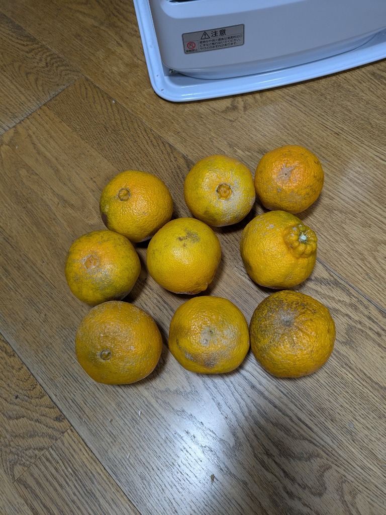 全体のレビュー画像 | 0-0