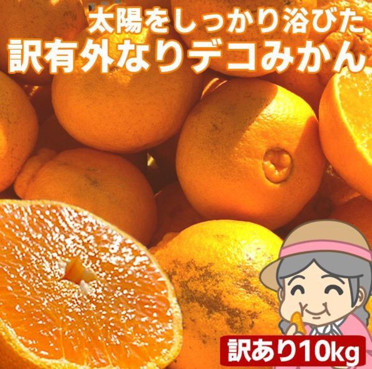 クール便】愛媛産 ご家庭用 農家さんもぐもぐ 外なり訳ありデコみかん 10kg(+約0.5kg多め) デコポン でこぽん 不揃い 傷 フルーツ 果物  くだもの みかん :k-dekom-nm-w10k:フルーツショップサニー - 通販 - Yahoo!ショッピング