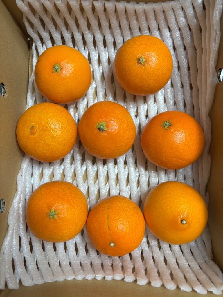 ミニ！まどんな！】まどんな 5kg ※小玉サイズ （ご家庭用