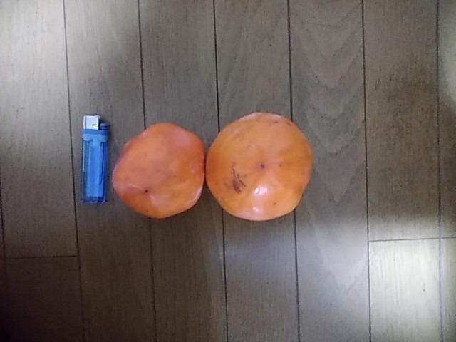 全体のレビュー画像 | 8-1
