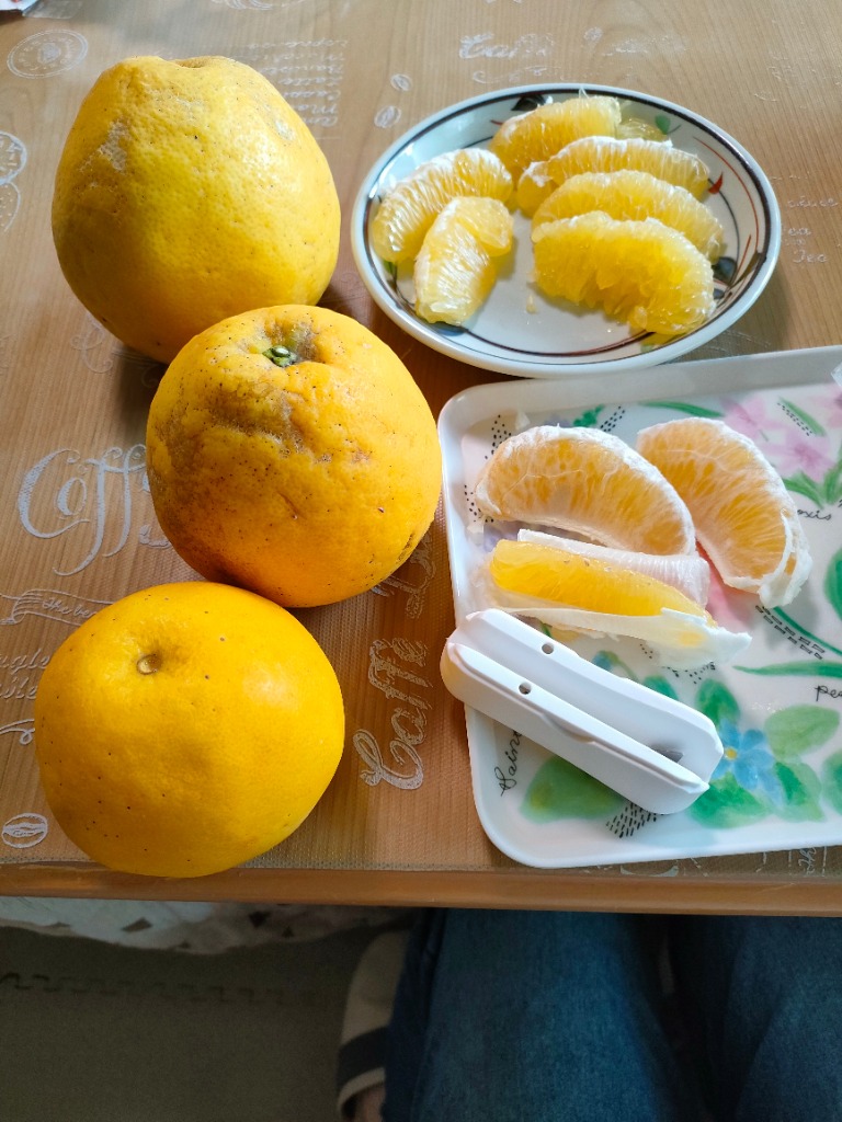 河内晩柑 訳あり 2kg 愛媛県産【2品で+2kg(6kgセット) 3品で+