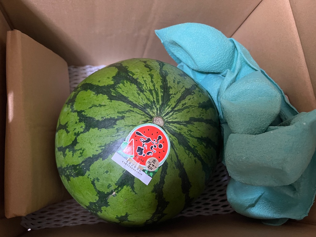 もぐもぐ 特大すいか 1玉 約7kg〜10kg 訳あり【送料無料(一部地域除く