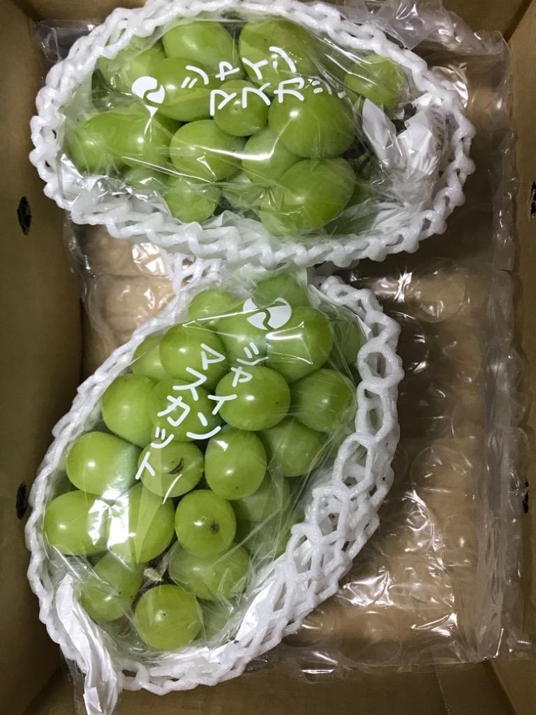 もぐもぐシャインマスカット 訳あり 約800g〜1kg(目安1〜4房) ご家庭用 送料無料 フルーツ 葡萄 ふぞろい 果物 旬 くだもの  :mogu-sain-1kg-2:フルーツショップサニー - 通販 - Yahoo!ショッピング