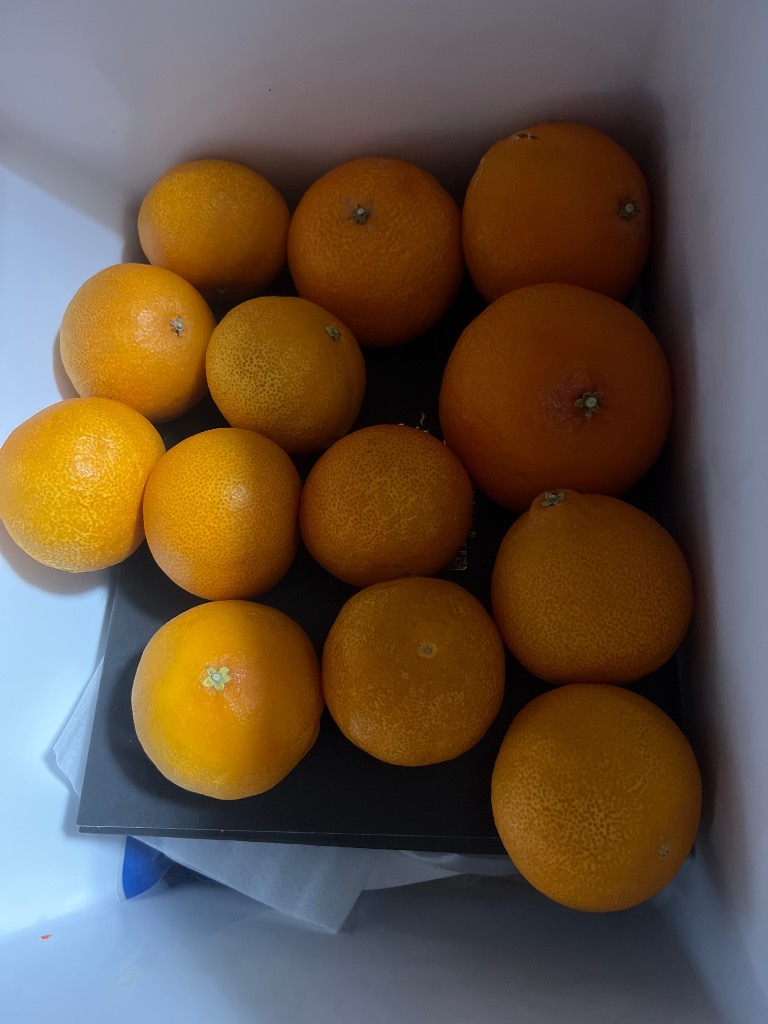 只今出荷中！スイートまどんな（訳あり）5kg【送料無料】 愛媛県