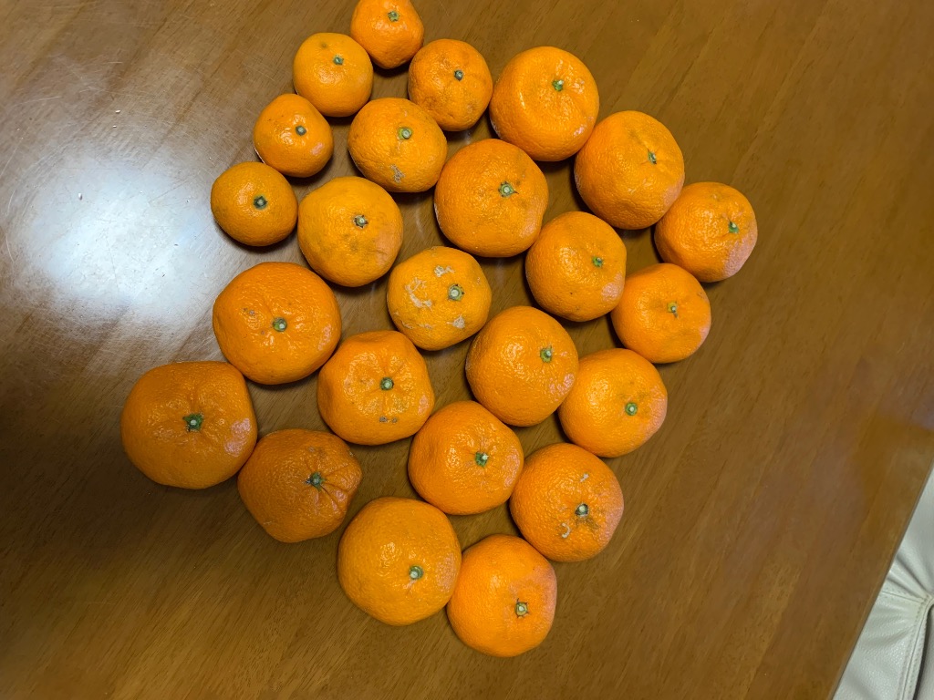 現在出荷中！特に訳ありみかん3kg(+約0.2kg多め)【送料無料
