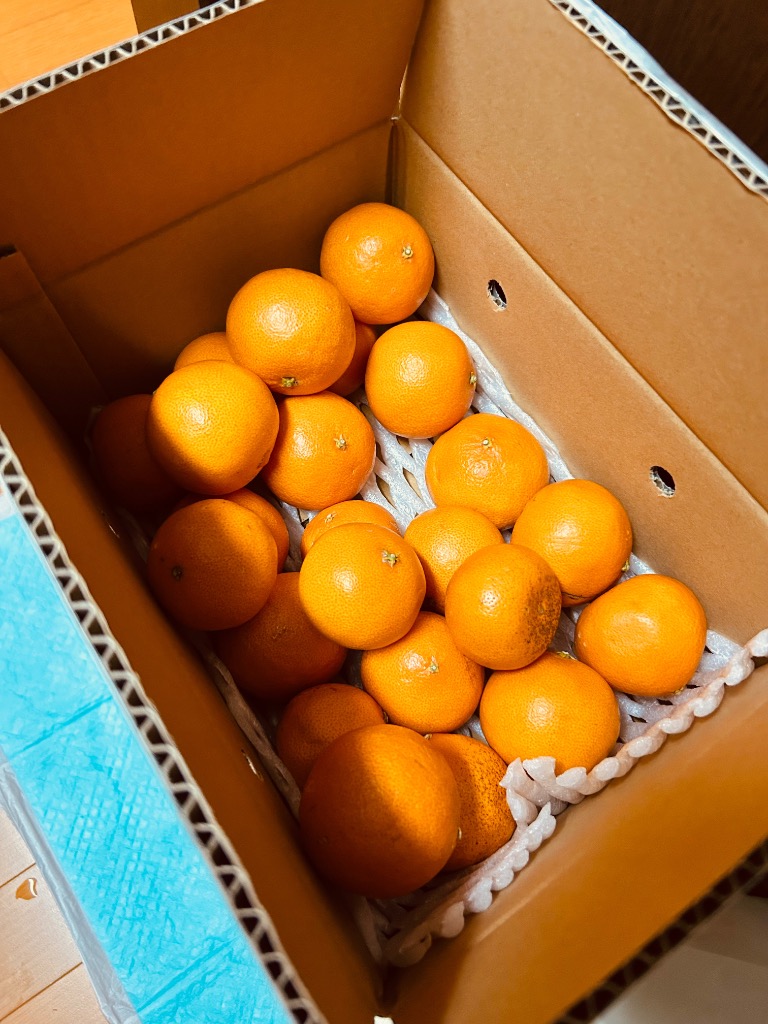 愛媛産 ご家庭用 春の特に訳ありスイートまどんな 2kg(+約0.2kg 愛媛産 ご家庭用 春の特に訳ありスイートまどんな 2kg(+約0.2kg