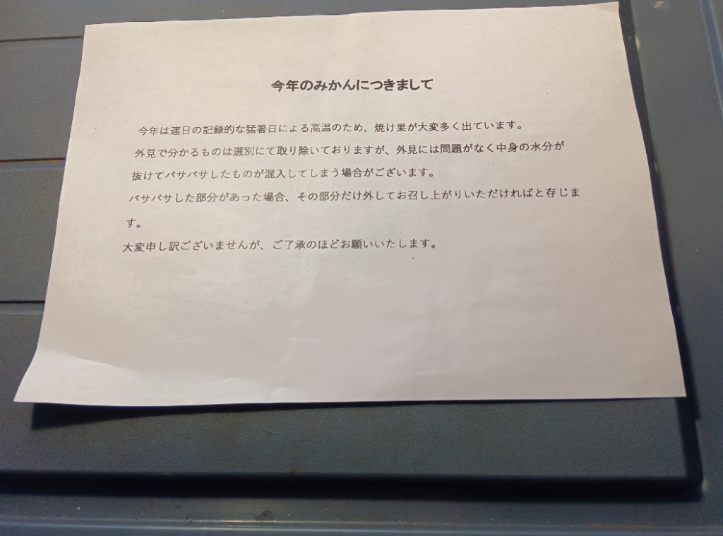 レビュー画像